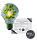 Untitled design (3).png